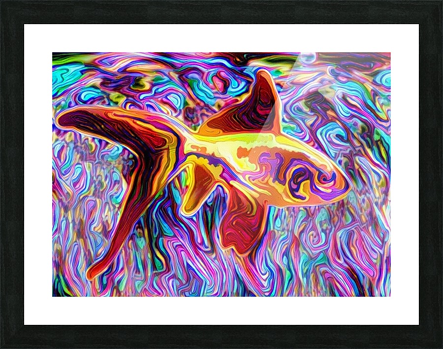 Golden Fish Picture Frame print