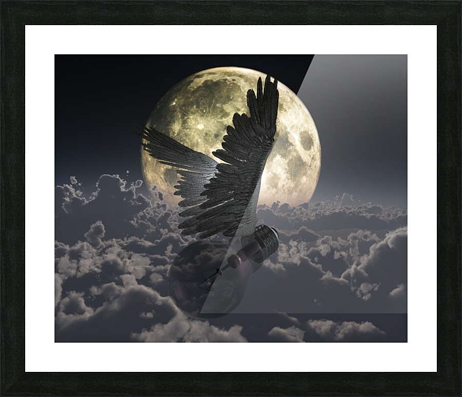 Flying Idea Picture Frame print