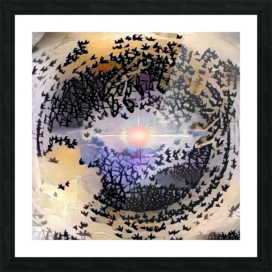 Eye Picture Frame print