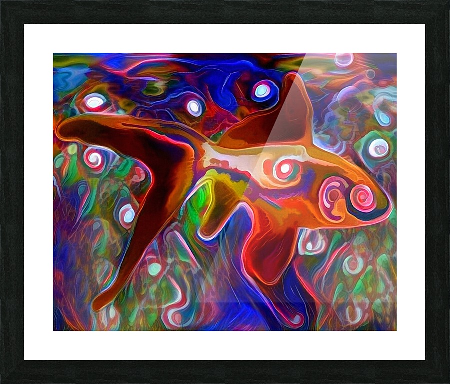 Golden Fish Picture Frame print