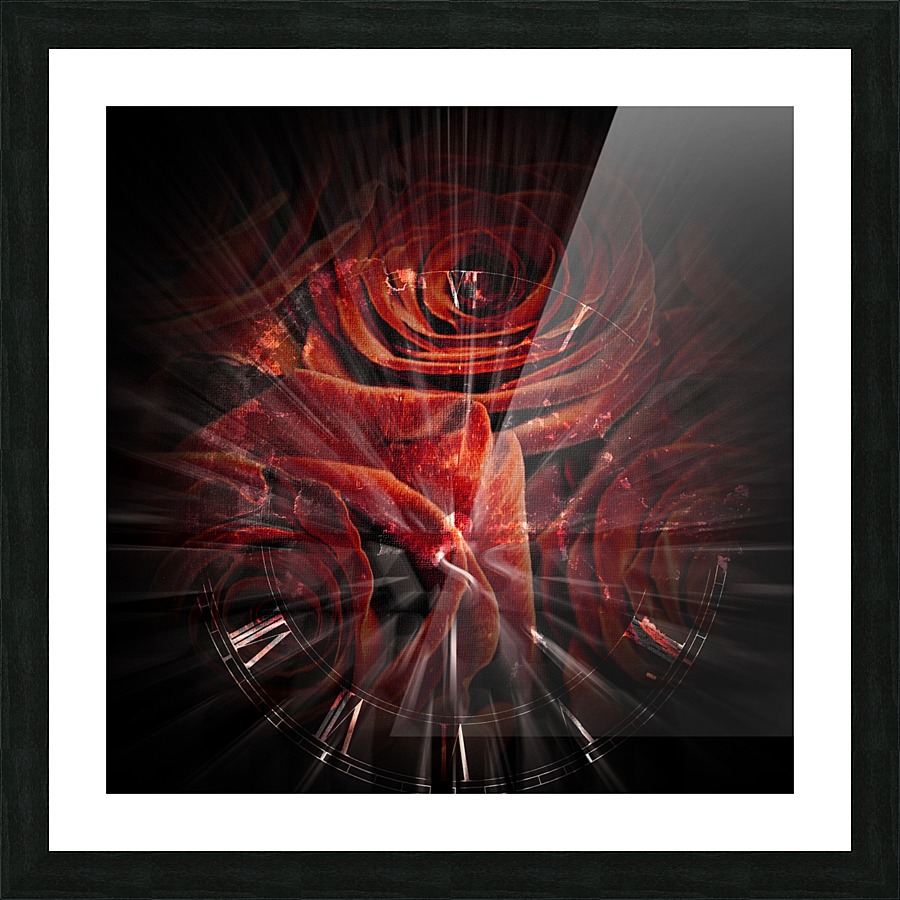 Latin Roses Picture Frame print