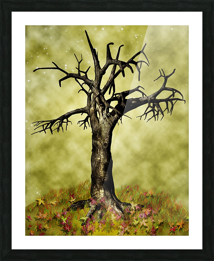 Leafless Maple Tree Picture Frame print