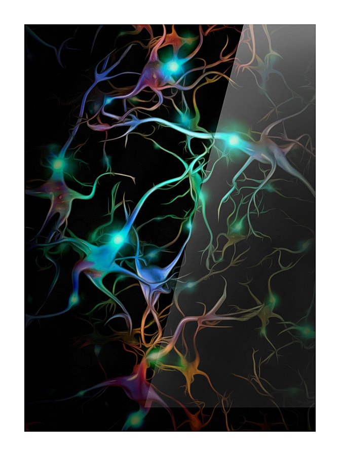 Neurons Network Picture Frame print