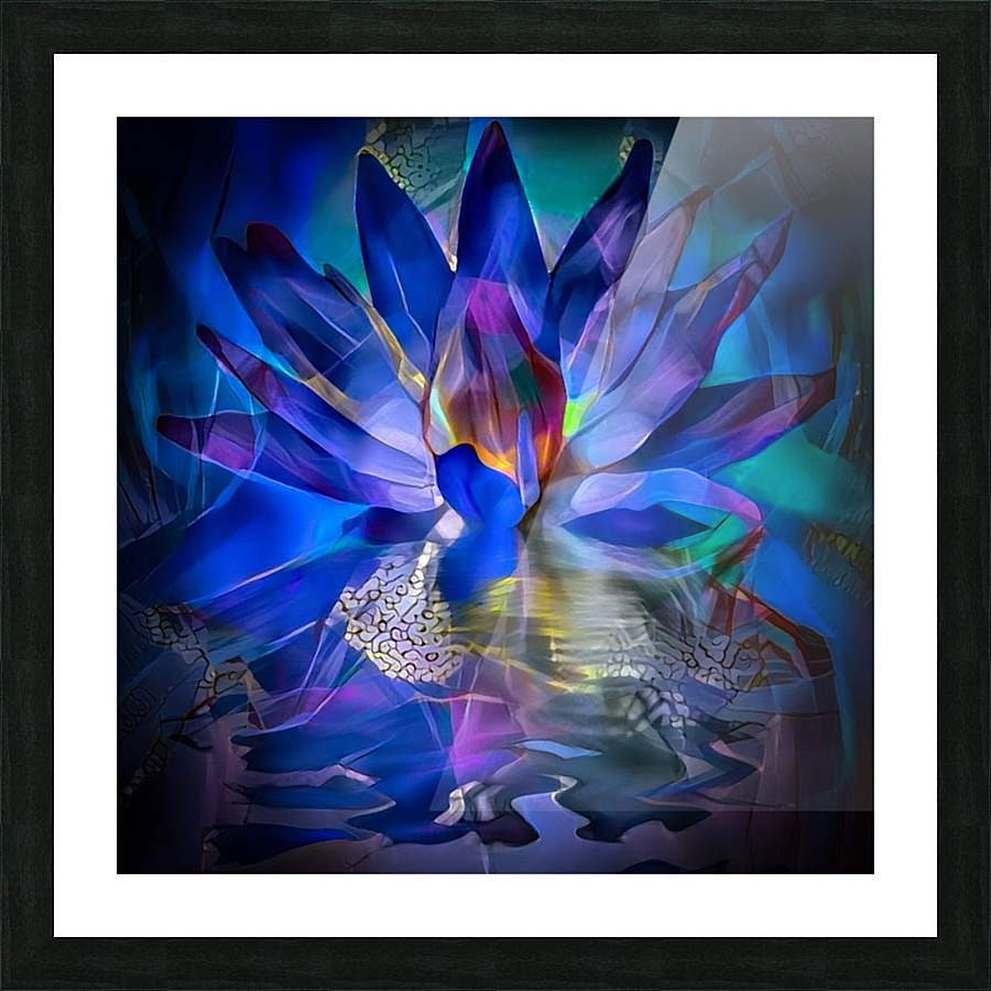 Lotus Flower Picture Frame print