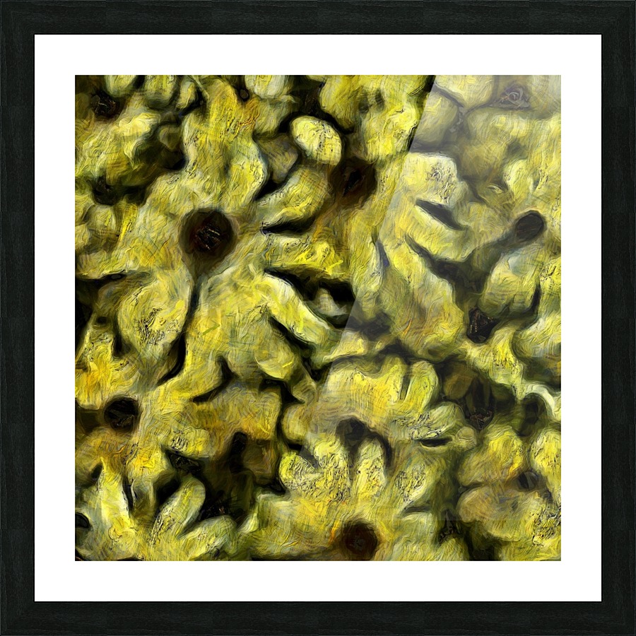 Flowers Picture Frame print