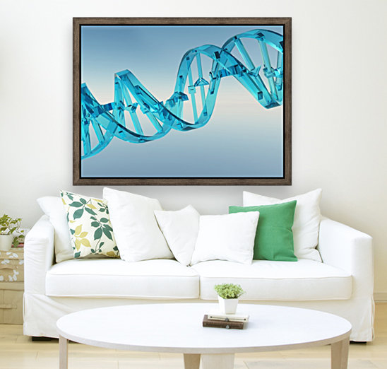 DNA Strand Reproduction