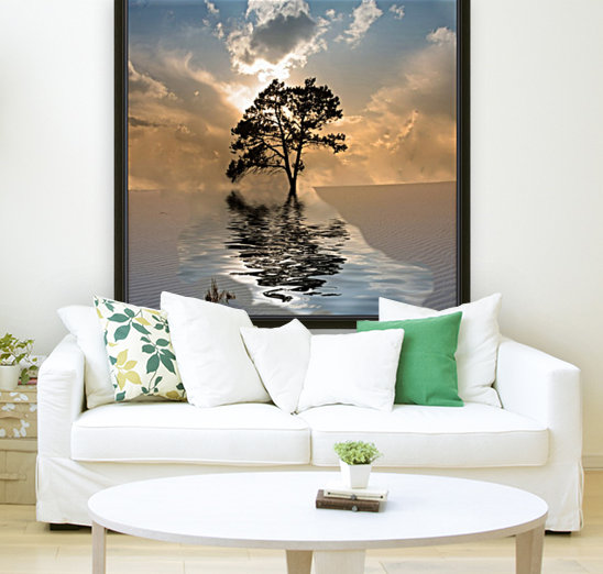 Desert Tree Reproduction