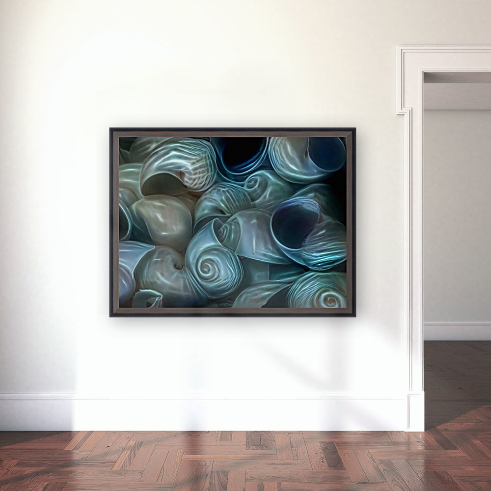 Moon Seashells Reproduction