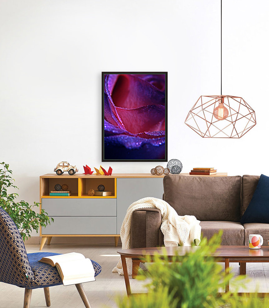 Rose Reproduction