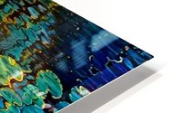 Koi fish in pond HD Metal print