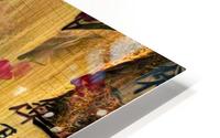 Asia Lotus HD Metal print