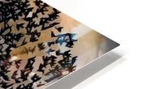 Eye HD Metal print