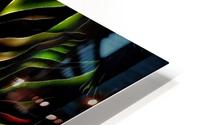Lotus Flower HD Metal print