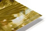 Angel Wings HD Metal print