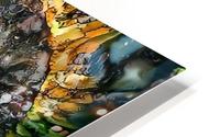 Eternal Meditation HD Metal print