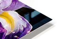 Iris HD Metal print