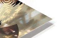 Mystical Man HD Metal print