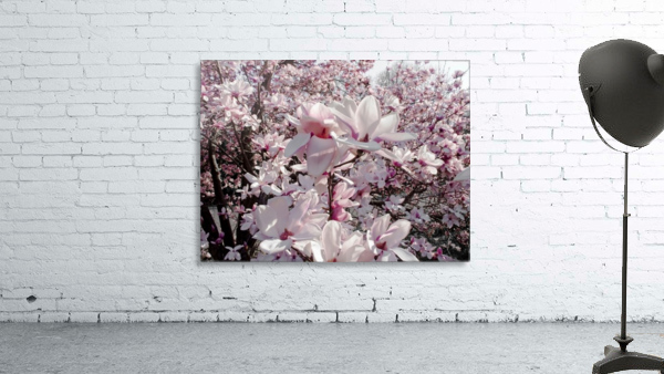 Tender flowers Wall Preview
