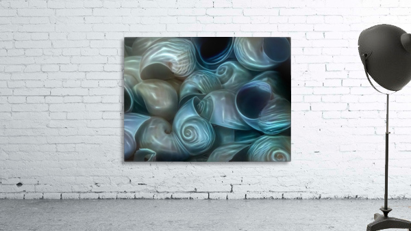 Moon Seashells Wall Preview