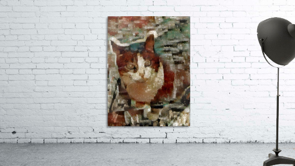 Cat Wall Preview