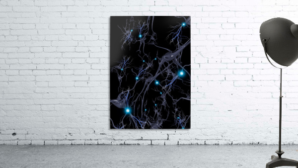 Brain Cells Neurons Wall Preview