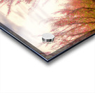 Peach Tree Grove Acrylic print