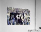 Equus Grevyi Acrylic Print