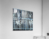 The Usual Suspects I Acrylic Print