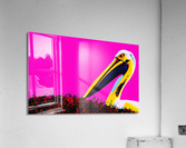 Pop Pelican Acrylic Print