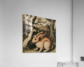 Albert the Rabbit Acrylic Print