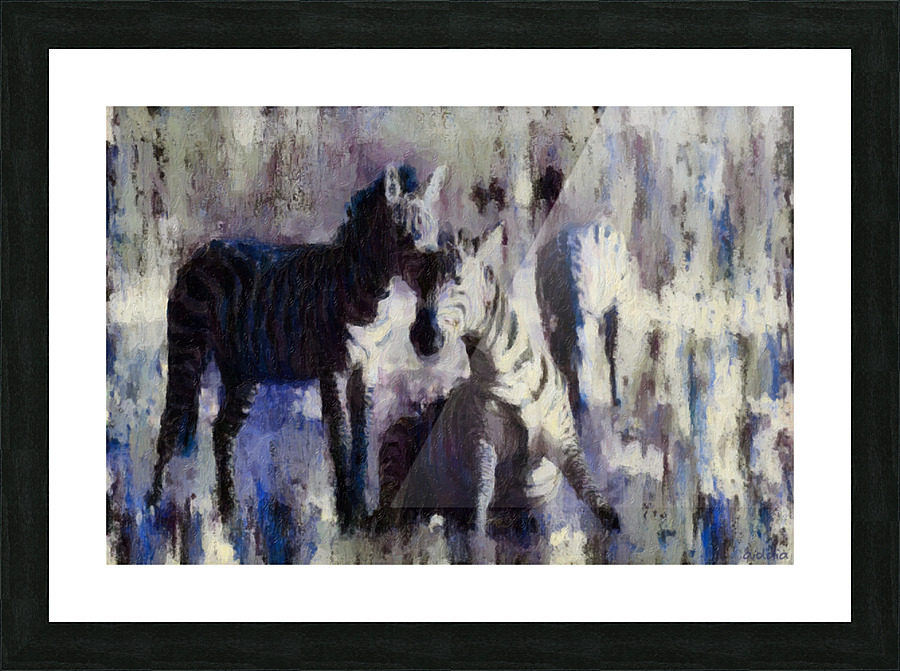 Equus Grevyi Picture Frame print