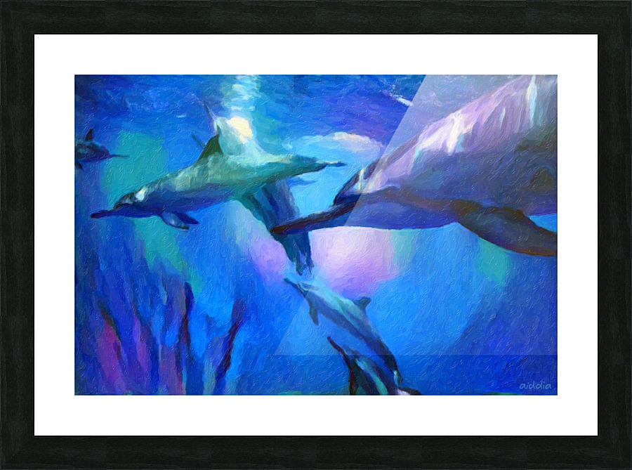 Dolphin Bay Picture Frame print