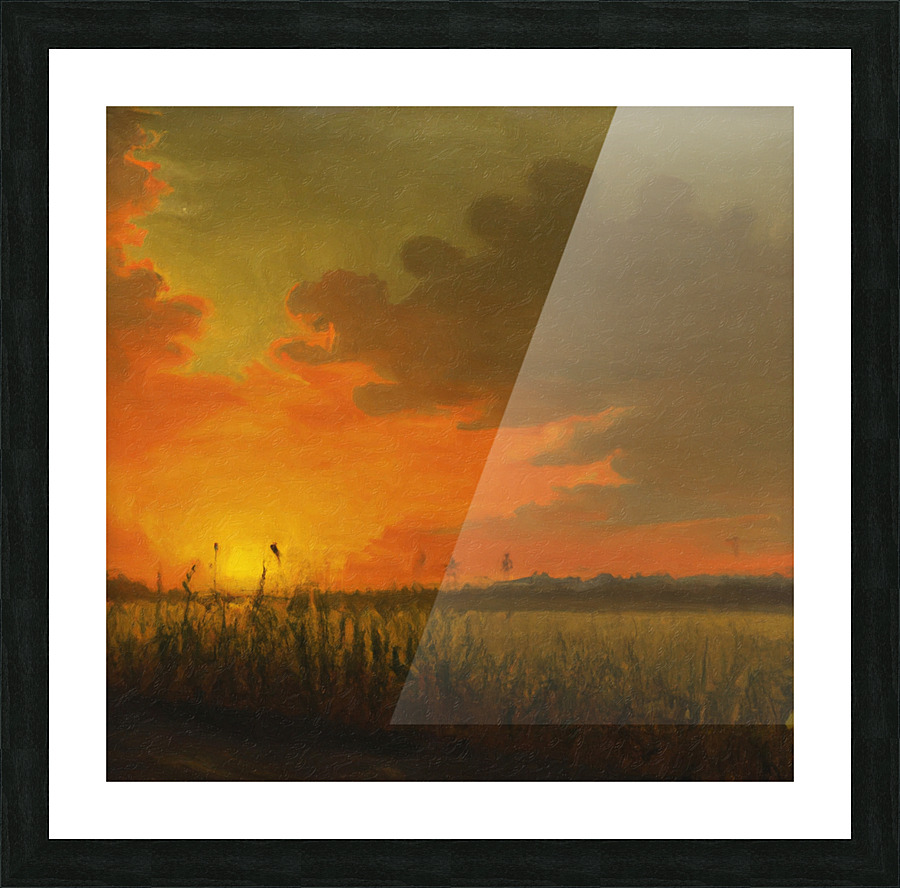 Cornfield at Sunset IV Picture Frame print