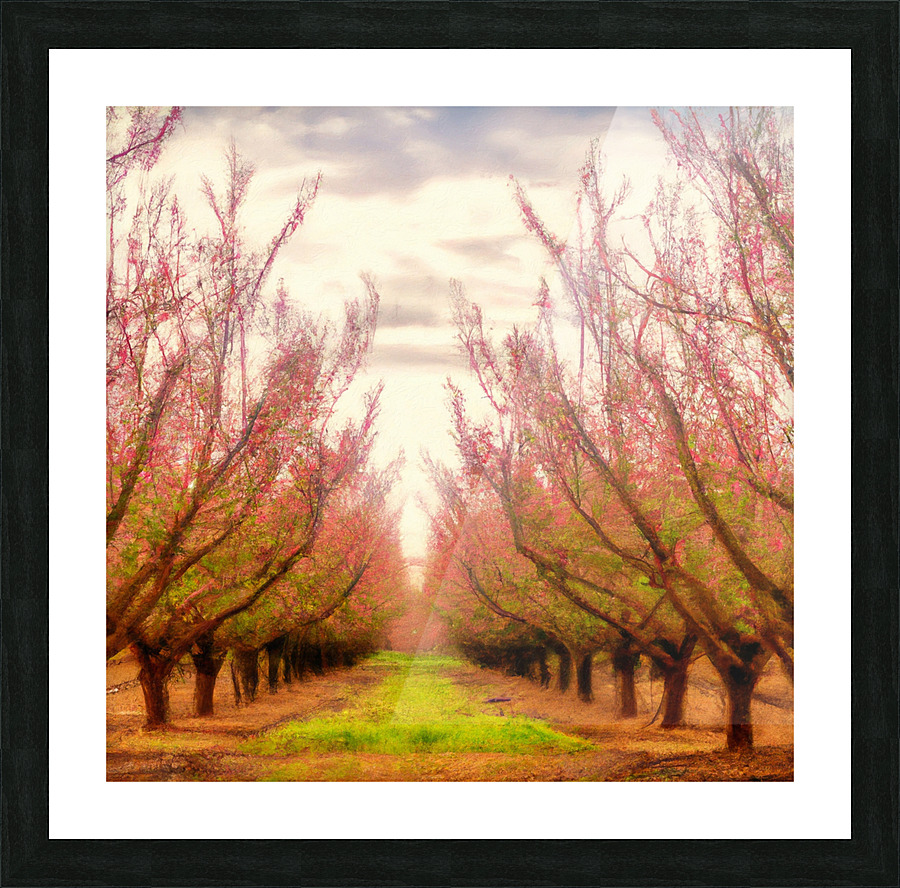 Peach Tree Grove Picture Frame print