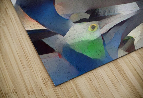 The Congregation aiddia puzzle