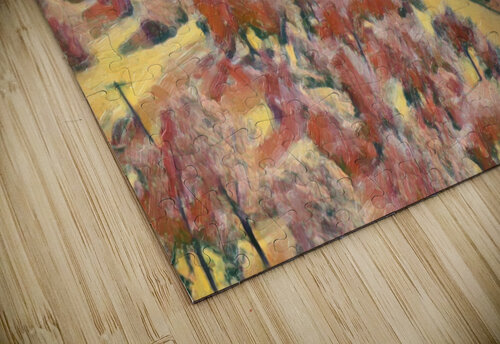 Hermann Park aiddia puzzle