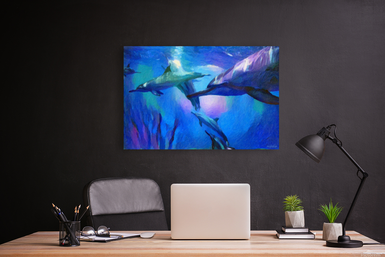 Dolphin Bay Reproduction