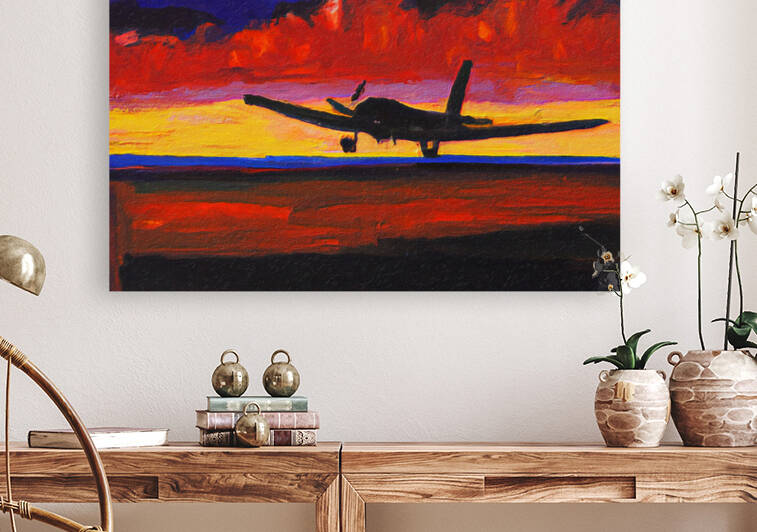 Landing at Sunset IV by aiddia