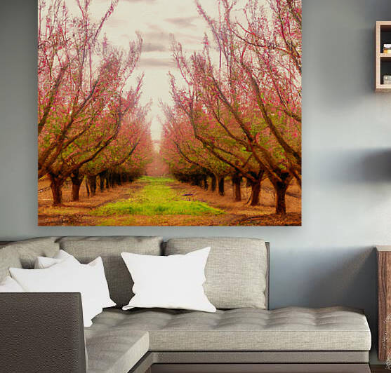 Peach Tree Grove by aiddia