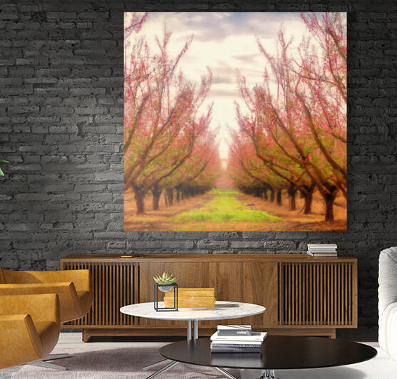 Peach Tree Grove 1670943672.4457 by aiddia