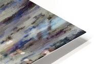 Equus Grevyi HD Metal print