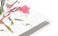 Dried Flowers HD Metal print