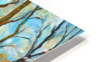 Central Park II HD Metal print