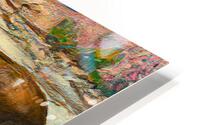 Grizzly Power HD Metal print