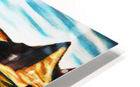 The Neo Express HD Metal print