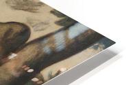 Albert the Rabbit HD Metal print