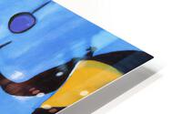 Circus Elephants HD Metal print