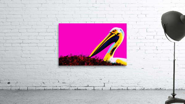 Pop Pelican Wall Preview