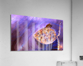 Net Acrylic Print