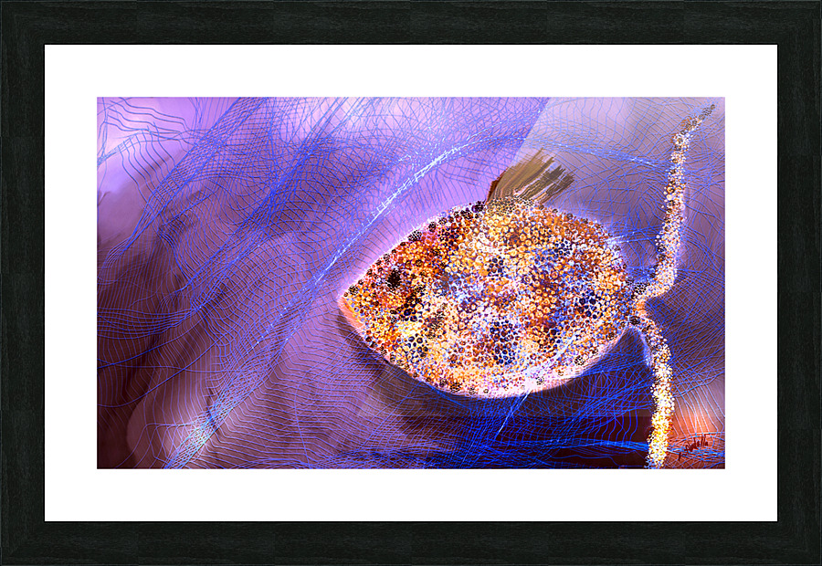 Net Picture Frame print
